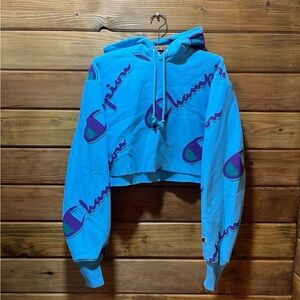 Champion Womens Script Reverse Weave Hoodie Sweatshirt Blue SIZE SMALL